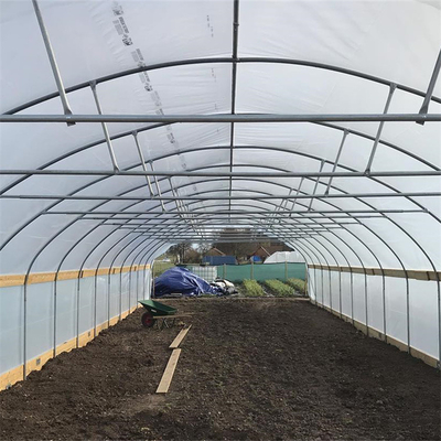 Invernadero plástico creciente del túnel de un solo tramo de la anchura 10m de la agricultura de la col de la película del PE