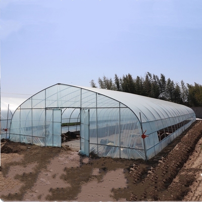 Hoja plástica del túnel estándar clásico del invernadero que cubre el crecimiento vegetal