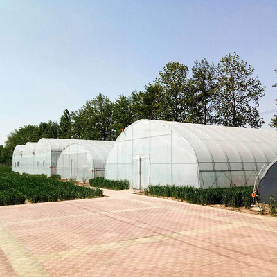 Invernadero agrícola del túnel de la sola película plástica del palmo PE con el sistema de la irrigación por goteo