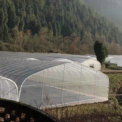 Invernadero plástico del palmo PE del túnel micro de la película de 200 solo para el crecimiento de las plantas de la agricultura