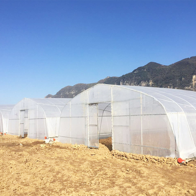 La película plástica de la agricultura cubrió el solo invernadero del túnel para el clima tropical