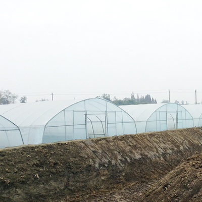 Fresa que crece el invernadero plástico del solo túnel agrícola del palmo los 2m
