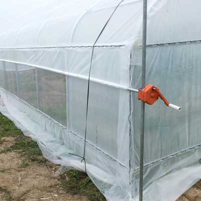 Invernadero de la película plástica del crecimiento vegetal/solo invernadero del palmo del túnel