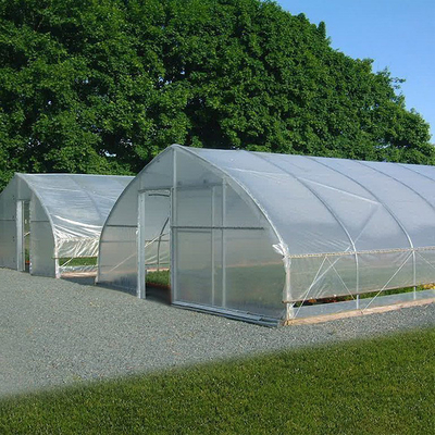 Invernadero barato del invernadero de hoja de la película palmo plástico agrícola del túnel del solo