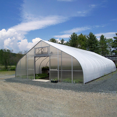 Tomates agrícolas del invernadero de la película del PE de 200 micrones que crecen el invernadero plástico del túnel