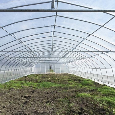 Invernadero tropical agrícola de la película plástica del túnel de Singlespan