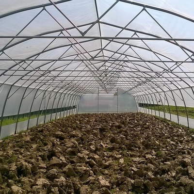 Invernadero plástico vertido cubierta del túnel del solo palmo agrícola de la hoja