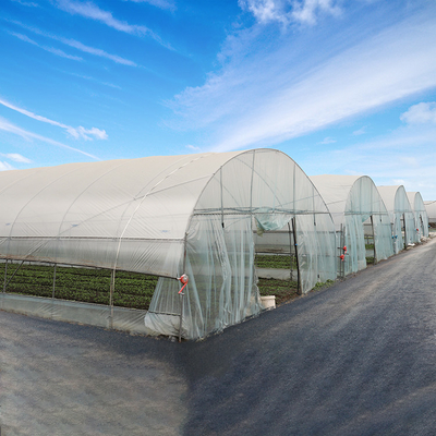 Túnel plástico galvanizado al aire libre de la película de hoja del invernadero del marco de acero agrícola