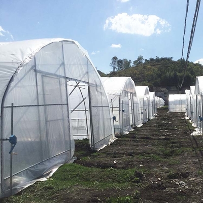 Túnel plástico galvanizado al aire libre de la película de hoja del invernadero del marco de acero agrícola