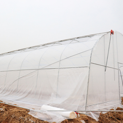 Invernadero plástico del túnel de la muestra/solo invernadero vegetal plástico del palmo