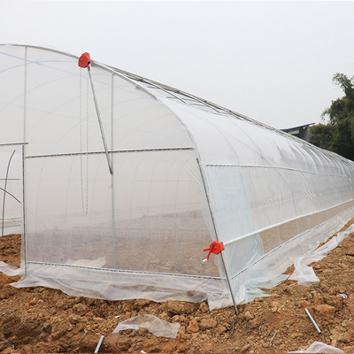 Anuncio publicitario plástico del invernadero del túnel del solo palmo agrícola