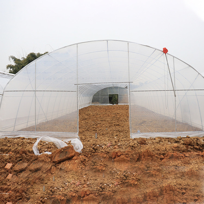 Invernadero plástico de la fresa del túnel del solo palmo con la película de 150 micrones