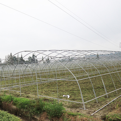 Plantas de la agricultura que crecen el solo invernadero de la película del palmo PE del marco de acero para la agricultura