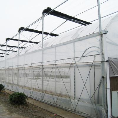 El invernadero agrícola/comercial del palmo multi de Hydrophonic instaló fácilmente