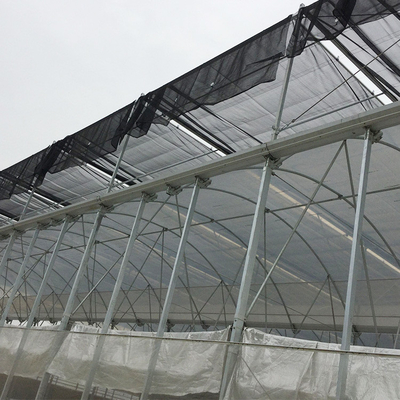 Alto control de la temperatura del hidrocultivo del invernadero del túnel del arco multi para cultivar
