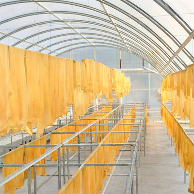 Chiles que secan el secador solar del invernadero de la calefacción del tablero de PC de la bóveda para el cultivo de la agricultura