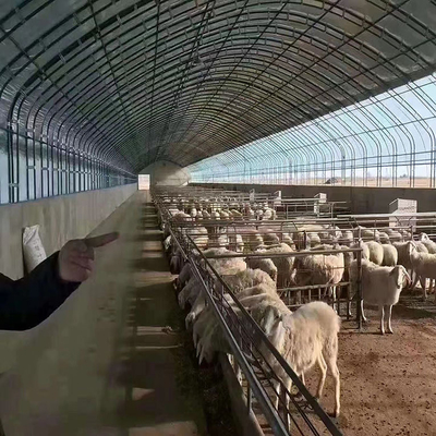Invernadero polivinílico del túnel del pollo para la avicultura del ganado y de la granja avícola