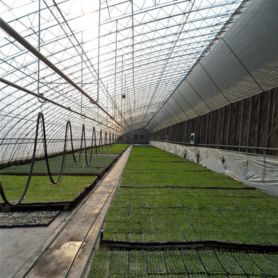 Solo invernadero del palmo del túnel solar pasivo del edredón para el área fría