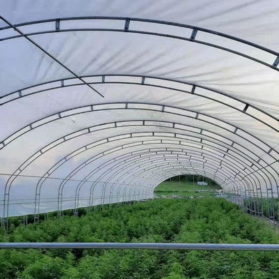 Los arcos dobles doblan invernadero creciente agrícola del palmo de la película el 10X50m el solo