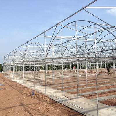 Invernadero multi plástico industrial comercial agrícola del palmo para el establecimiento del tomate