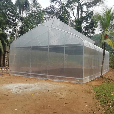 Invernadero creciente agrícola de la película de polietileno de los arcos tropicales