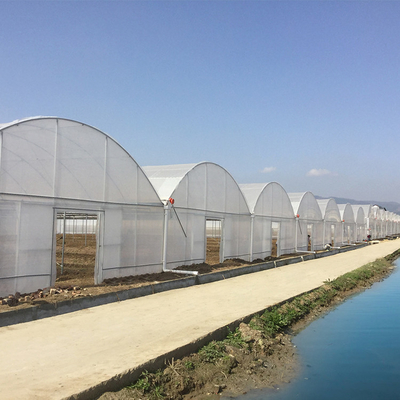 Invernadero agrícola de Multispan de la película de 200 micrones PE del crecimiento de verduras de la película plástica