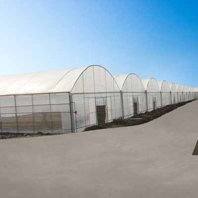 Invernadero agrícola de Multispan de la película de 200 micrones PE del crecimiento de verduras de la película plástica
