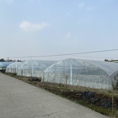 Invernadero de un solo tramo de la película de plástico transparente para el marco estable de la estructura de la agricultura