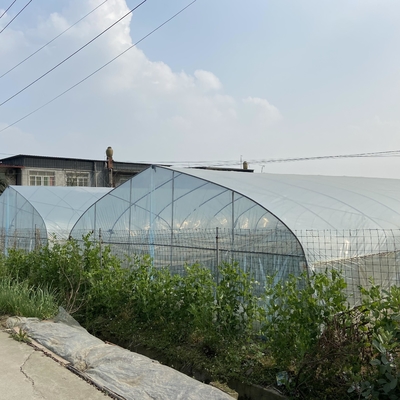 Invernadero plástico de los 8m de la anchura PE del túnel de un solo tramo agrícola de la película para el crecimiento de verduras